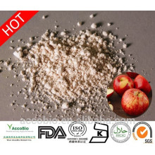 100% Natural High Quality Cosmetic Grade Apple Extract Powder Polyphenols 50% in Bulk